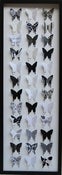 Image of Classic Black & White - 30x90cm