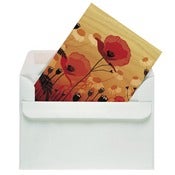 Image of Poppies (6 cards)