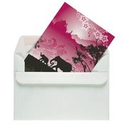 Image of Indian elephant (6 cards)