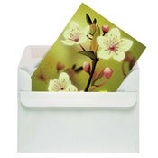 Image of Green blossom (6 cards)