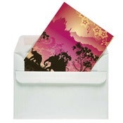 Image of Maharaja (6 cards)