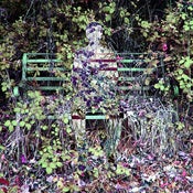 Image of Beautiful Isolation CD [Limited Edition]