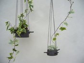 Image of Hanging Flower Pot Four Horns