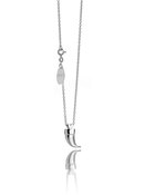Image of The Tiger Claw Pendant