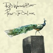 Image of Pride: The Cold Lover CD (2004) *Now In Stock!*