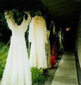 Image of Vintage Dresses