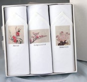 Image of Box of III Women's Hankies: Amour