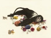 Image of Kirsty Whiten- Flower Monkey- Giclee Print- A2