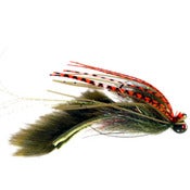 Image of Mud Bug