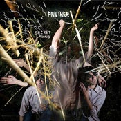Image of Panther - Secret Lawns