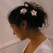 Image of Bridal maids - hair dress 