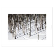 Image of "Aspen II"