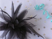 Image of Black Disco Lily