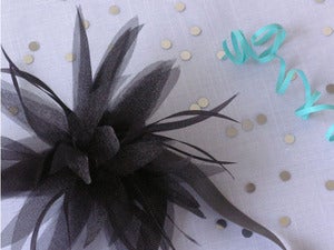 Image of Black Disco Lily
