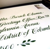 Image of The Envelope Please