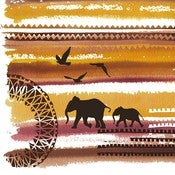 Image of Safari Study One