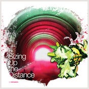 Image of <i>Sizing Up the Distance</i><br>by Helicopters