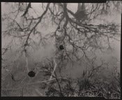 Image of Caught, No. 1