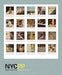 Image of NYCPP: 20 v2