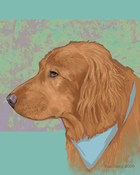 Image of Golden Retriever, 8x10 Print, Dog Art by Susan Van Camp 01