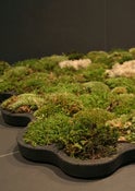 Image of Recharge de mousse