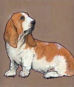 Image of Basset hound- original painting
