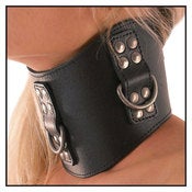 Image of Posture Collar - High And Profiled (JL0438)