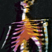 Image of STUDY NATURAL LAW CD