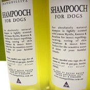 Image of SHAMPOOCH FOR DOGS 250ML