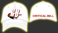 Image of Critical Bill Flex Fit Embroidered Hat