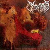 Image of Mass Liberation cd
