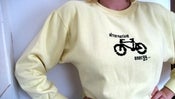 Image of Alternative Energy E-Pattern from Radical Cross Stitch