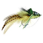Image of Whitlock Swimming Frog