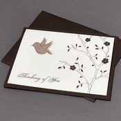 Image of Dove