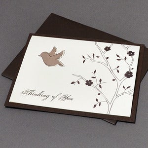 Image of Dove