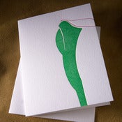 Image of jade cala botanical | single