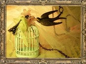 Image of La liberté du Printemps