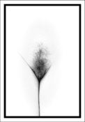 Image of WZ02