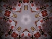 Image of Rockin' N Poppin Popcorn Small - 3 Pack