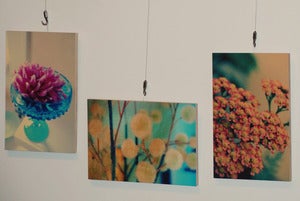 Image of 16x24 plywerk fine art photograph