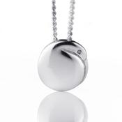 Image of Silver Kiwi Pendant