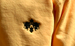 Image of TBBBC Hoody (Honey)