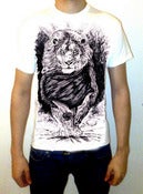 Image of Lion