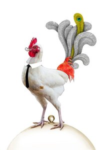 Image of Gallo