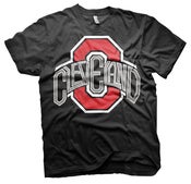 Image of Cleveland State of Mind