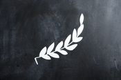 Image of single magnolia branch - right