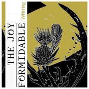 Image of The Joy Formidable - Whirring 7"