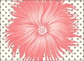 Image of Flower (coral)