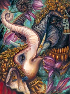 Image of Elephants