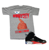 Image of AIR JORDAN 6 "PISTONS"
